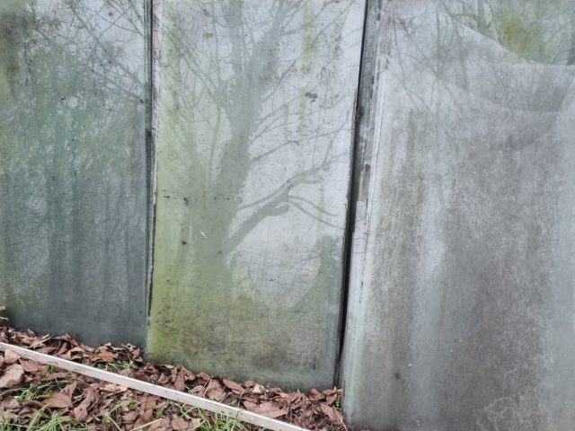 Single Pane Glass - whole panes