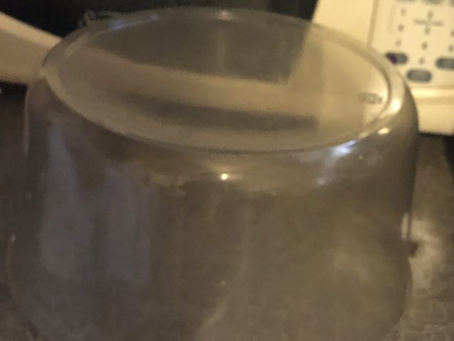 Plastic bottles, plastic gallons of water jugs, plastic cake cover, and plastic bowls