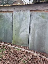 Single Pane Glass - whole panes